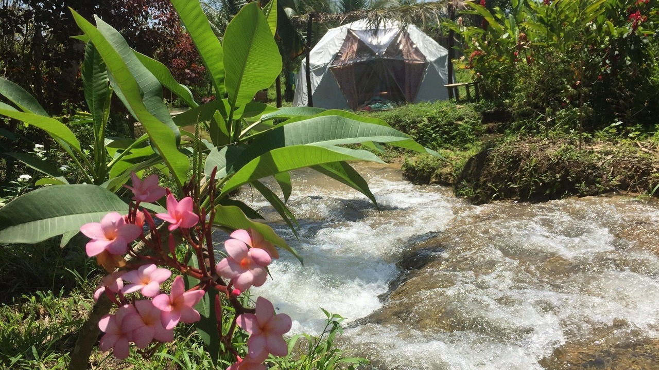 Photo of Outdoor in Lacanja