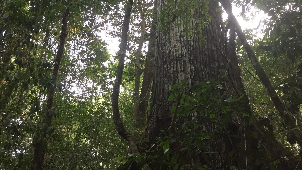 Photo of Outdoor in Lacanja