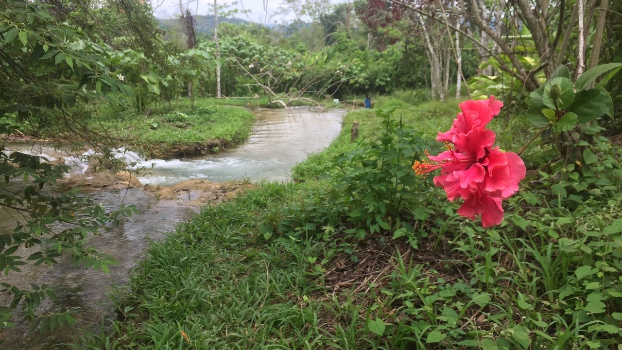 Photo of Outdoor in Lacanja