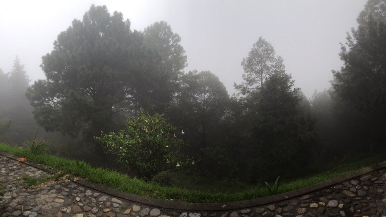 Photo of Outdoor in San Gabriel