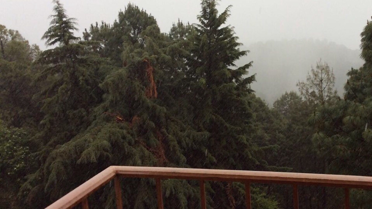 Photo of Outdoor in San Gabriel