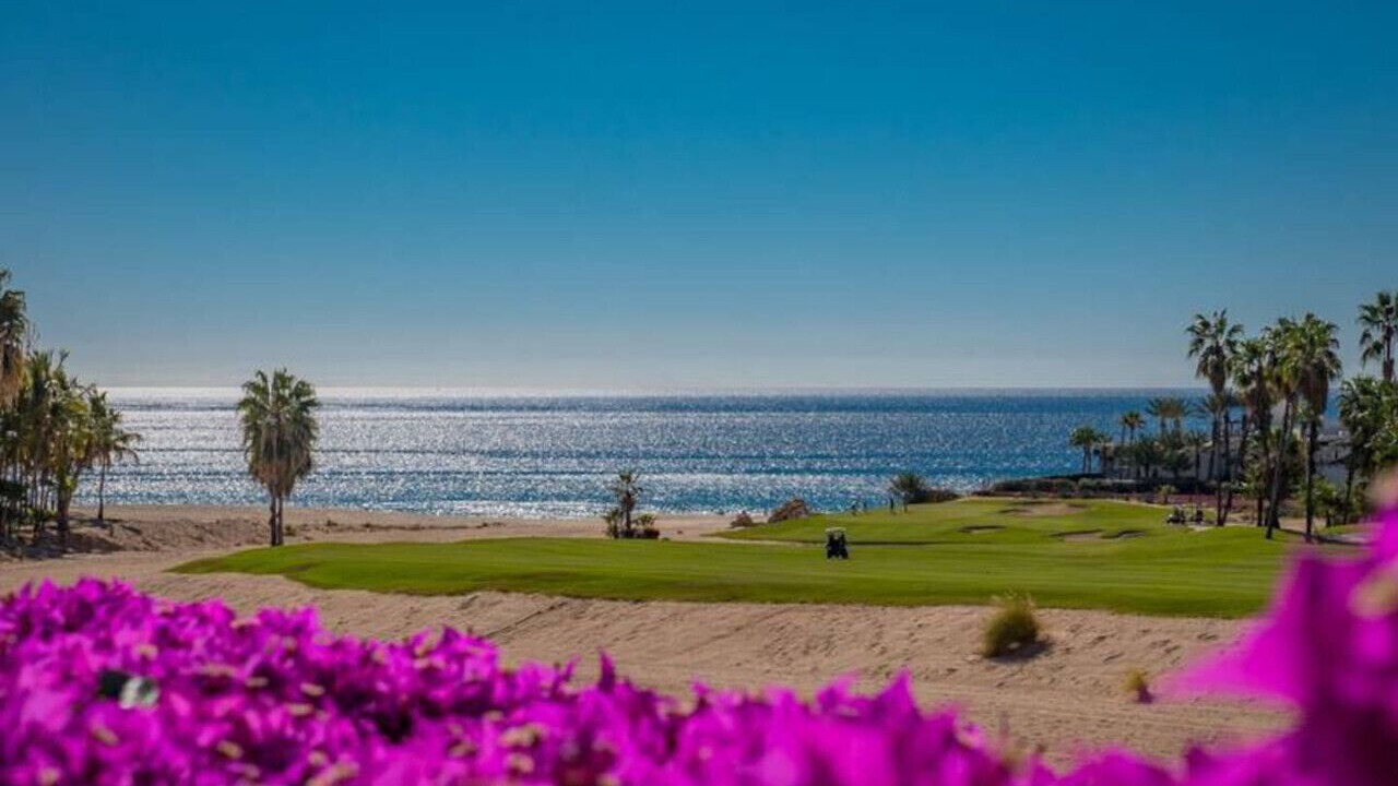 Photo of Others in San Jose del Cabo