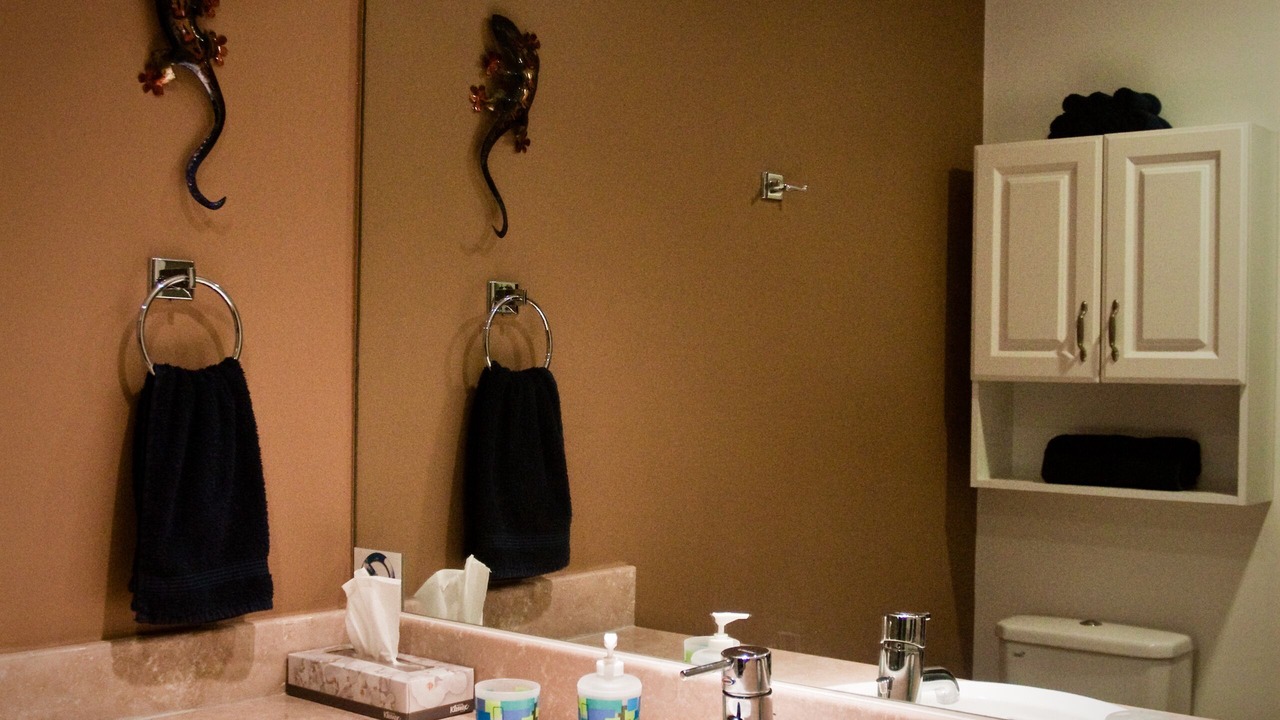 Photo of Bathroom in Nuevo Vallarta