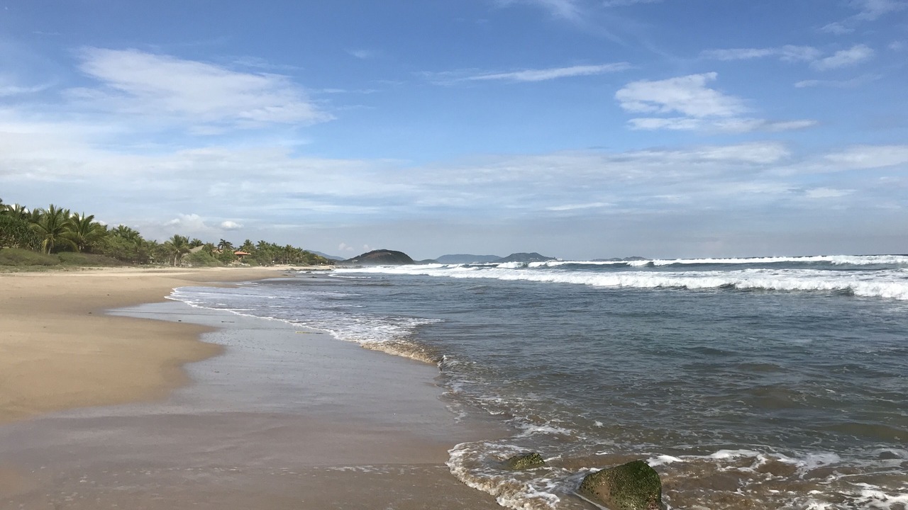 Photo of Others in Troncones