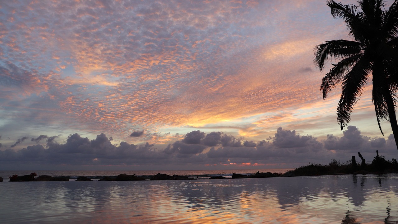 Photo of Others in Troncones