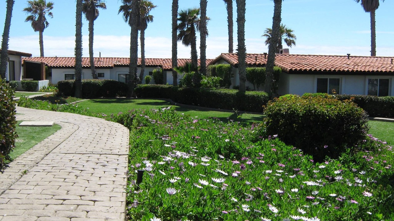 Photo of Outdoor in La Paloma