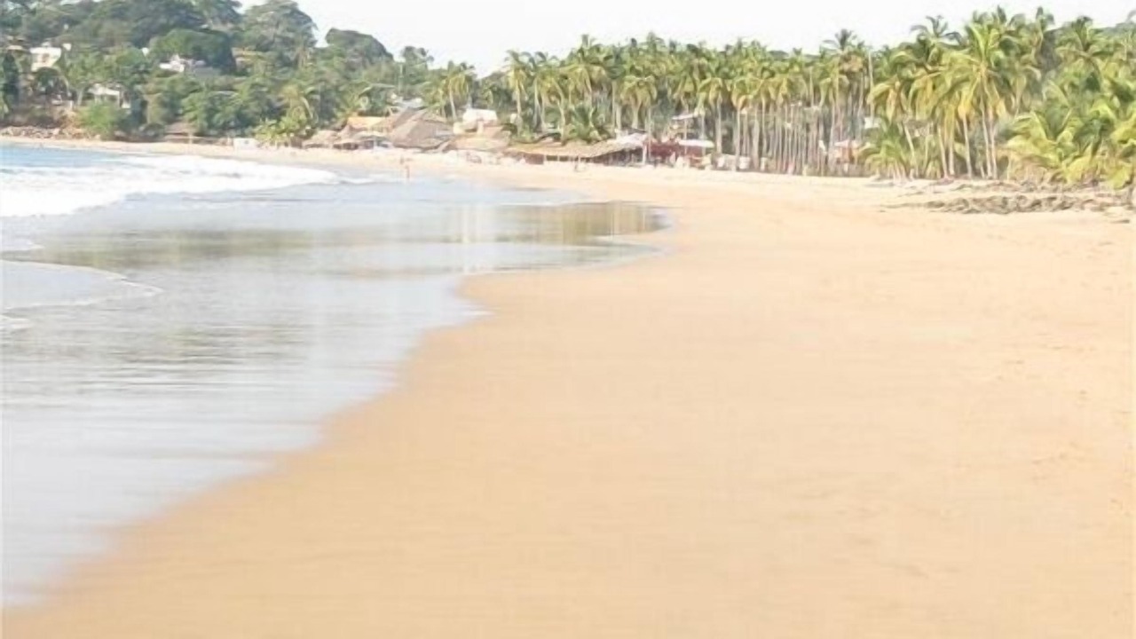 Photo of Others in Chacala