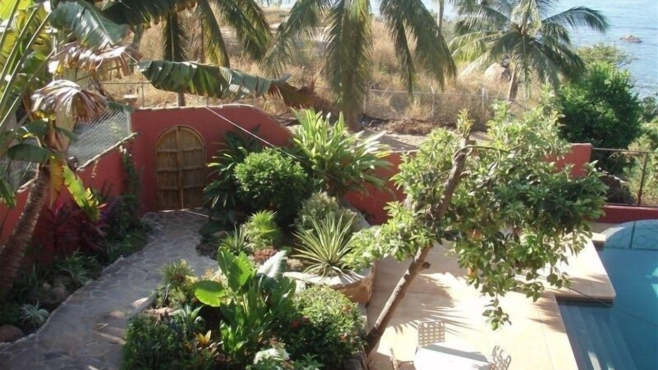 Photo of Outdoor in Chacala