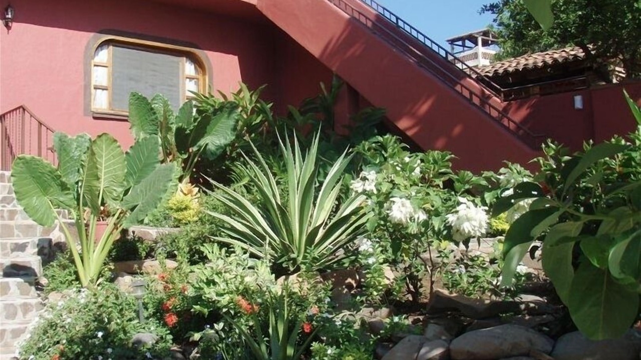 Photo of Outdoor in Chacala