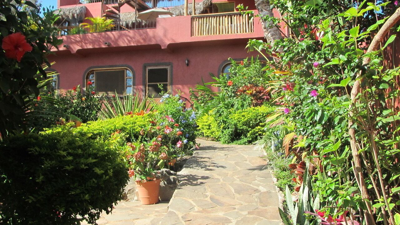 Photo of Outdoor in Chacala