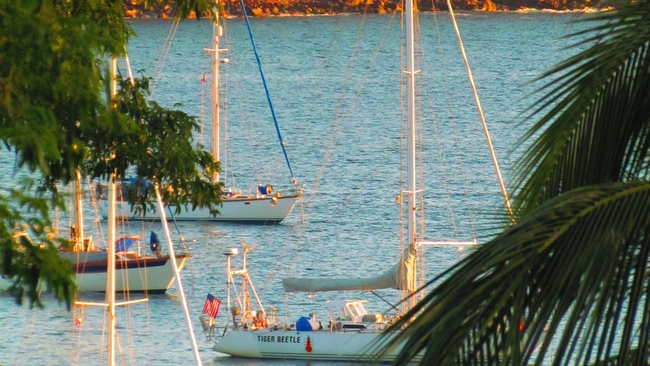 Photo of Others in Chacala