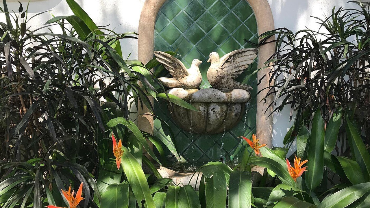 Photo of Outdoor in Sayulita
