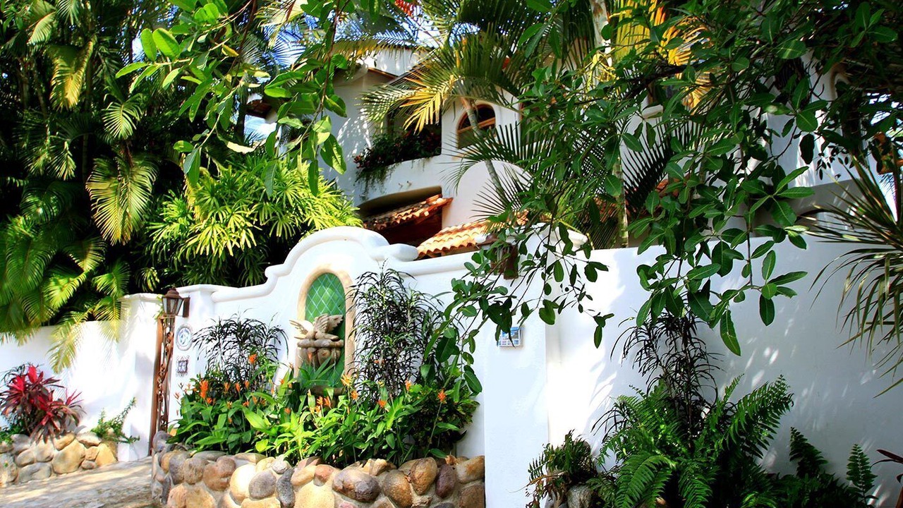 Photo of Others in Sayulita