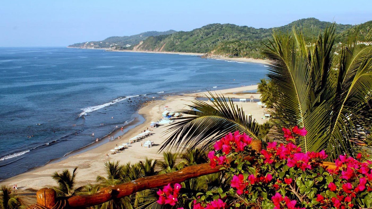 Photo of Others in Sayulita