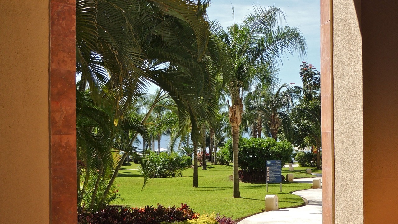 Photo of Others in Marina Vallarta