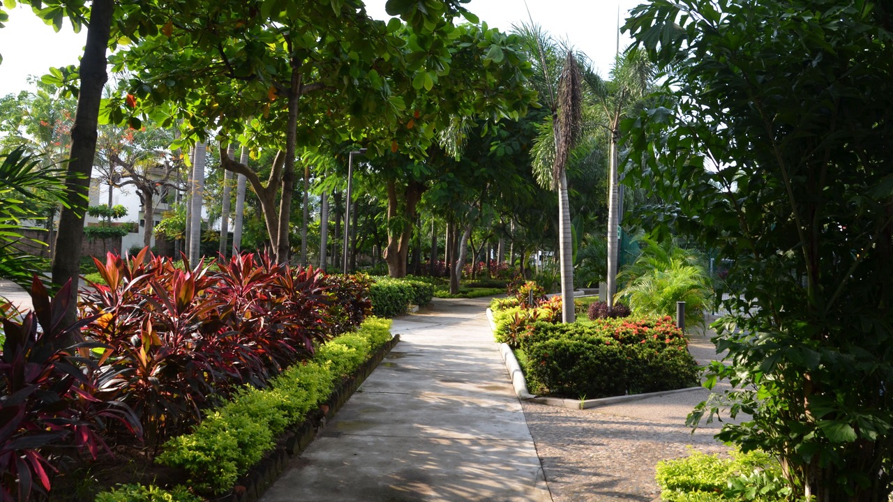 Photo of Outdoor in Las Moras