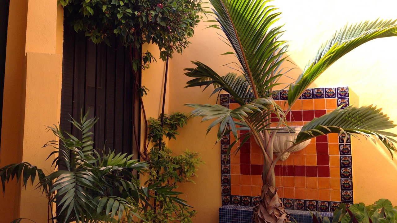 Photo of Outdoor in Centro