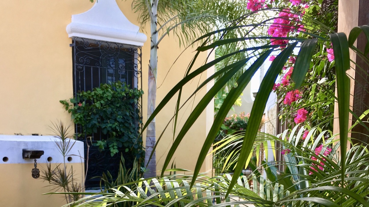 Photo of Outdoor in Centro