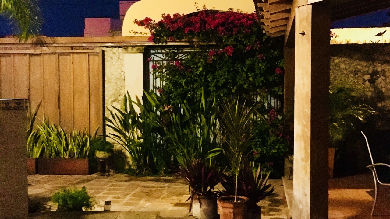 Photo of Outdoor in Centro