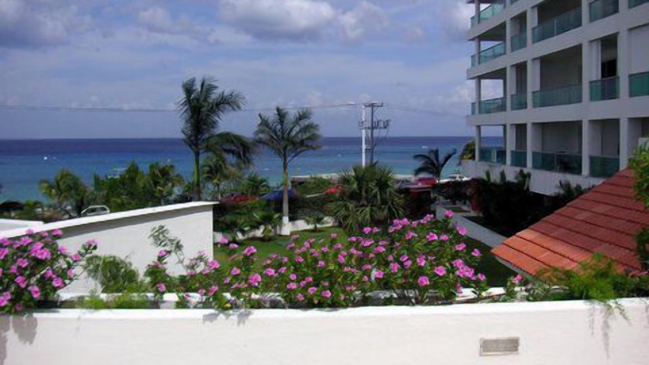 Photo of Others in Cozumel