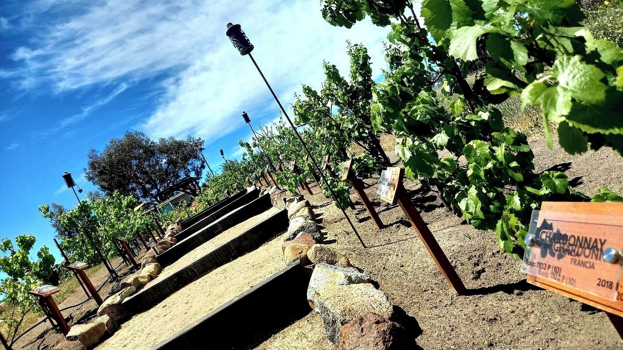 Photo of Outdoor in Valle de Guadalupe