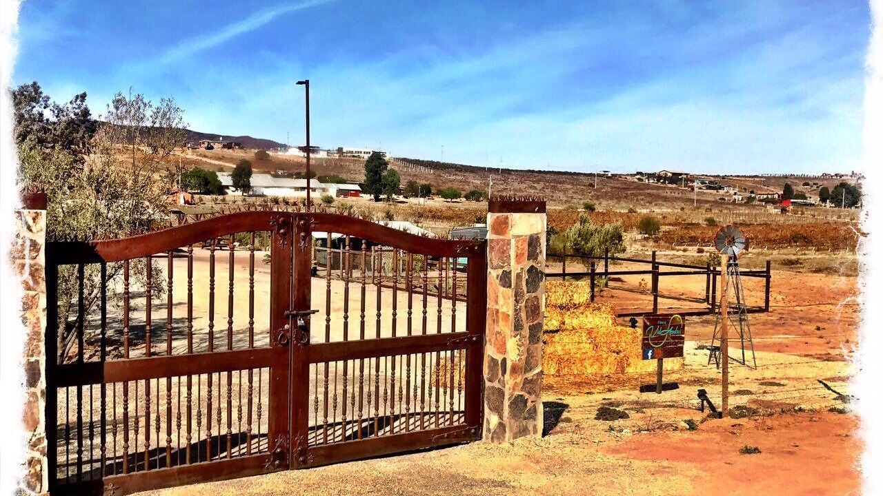 Photo of Outdoor in Valle de Guadalupe