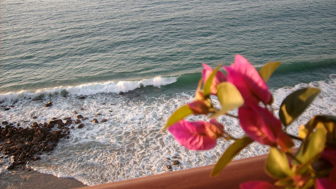 Photo of Patio Balcony in South Shore Hotel Area