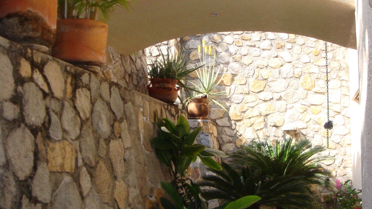 Photo of Others in La Poza