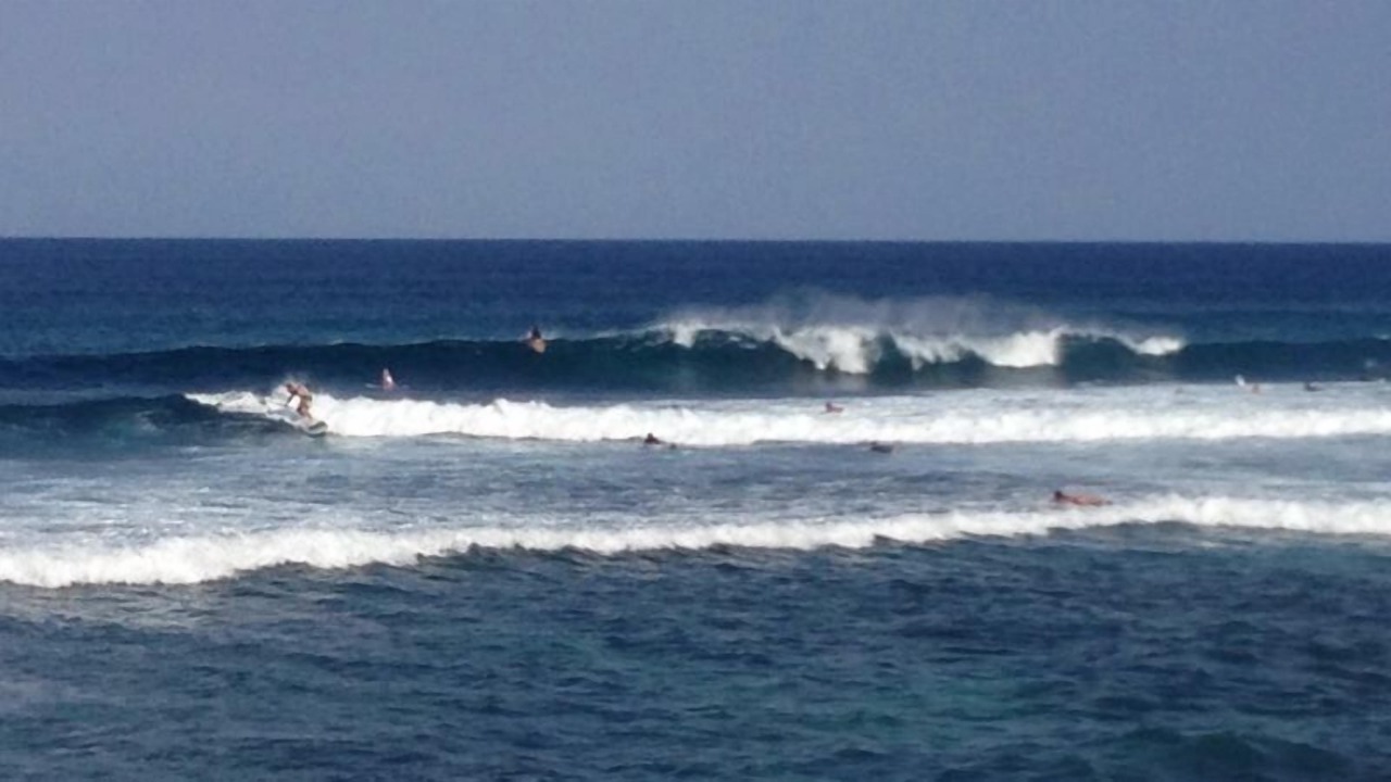 Photo of Others in Bucerias