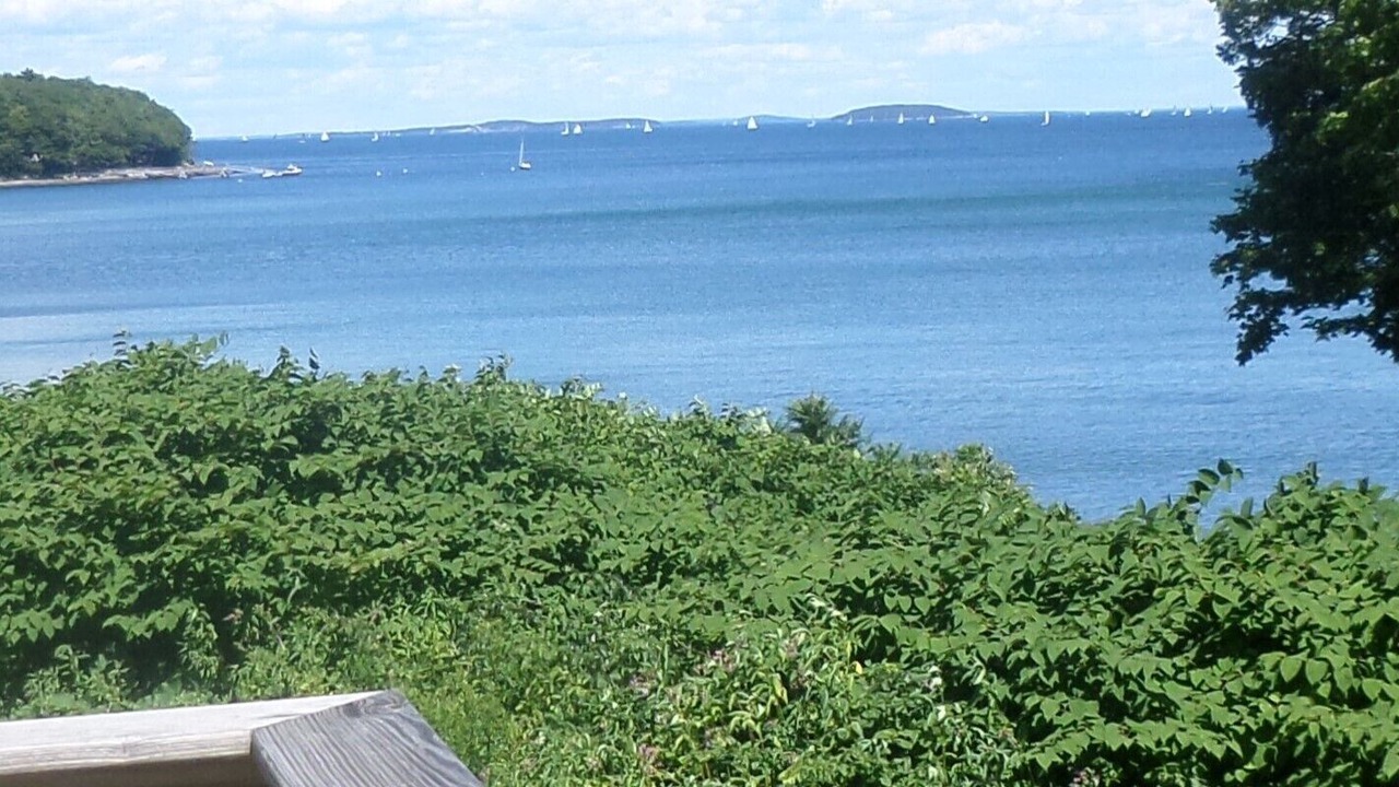 Photo of Others in Glen Cove