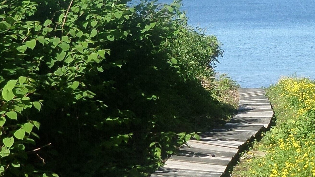 Photo of Others in Glen Cove