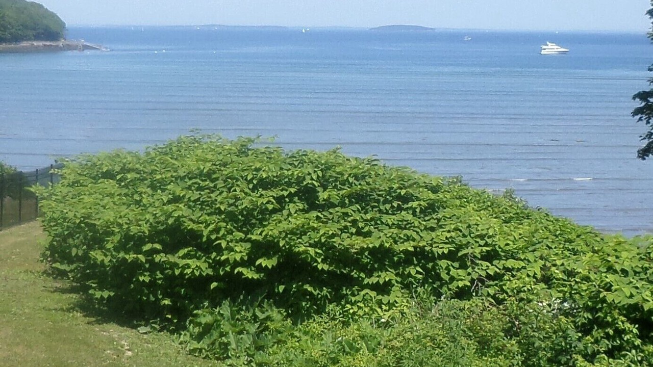Photo of Others in Glen Cove