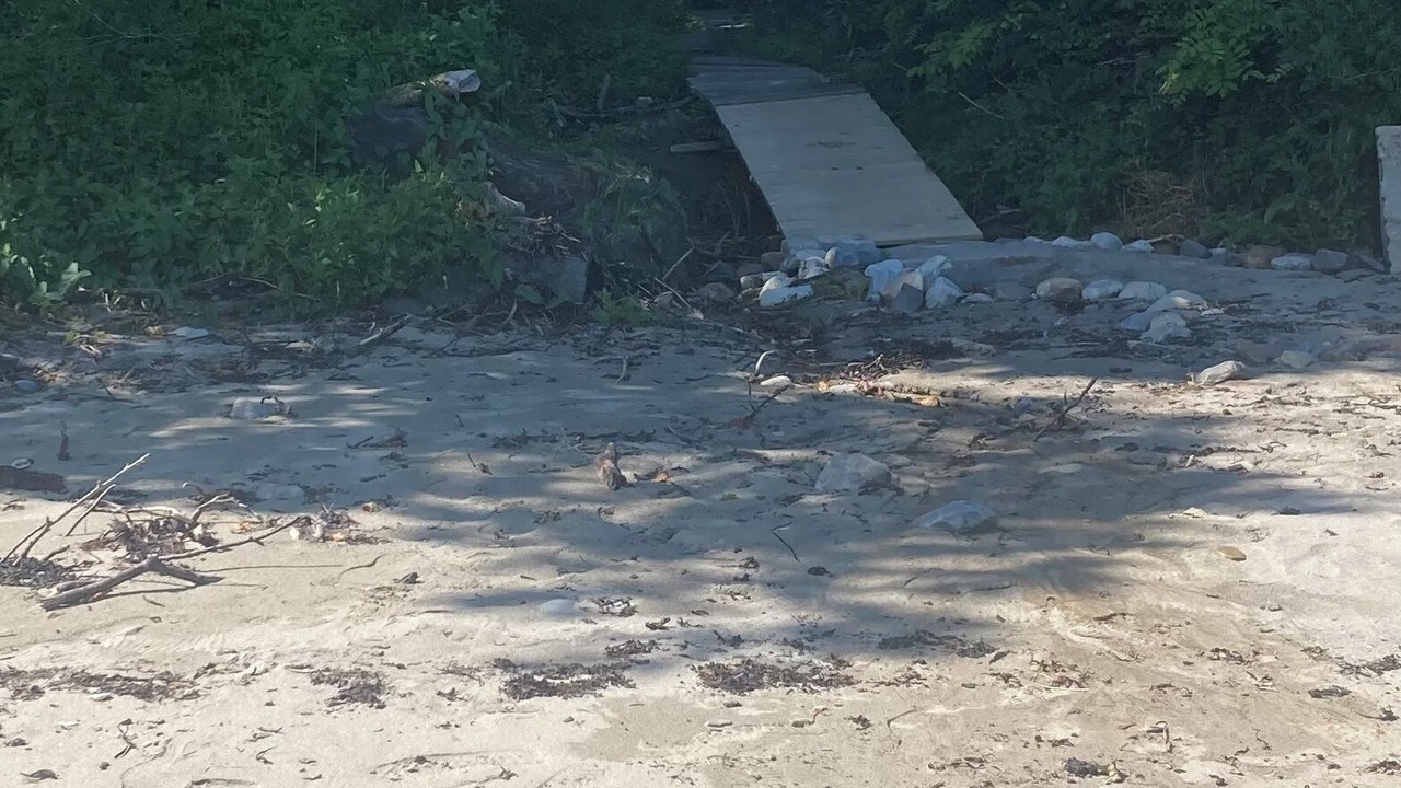 Photo of Others in Glen Cove