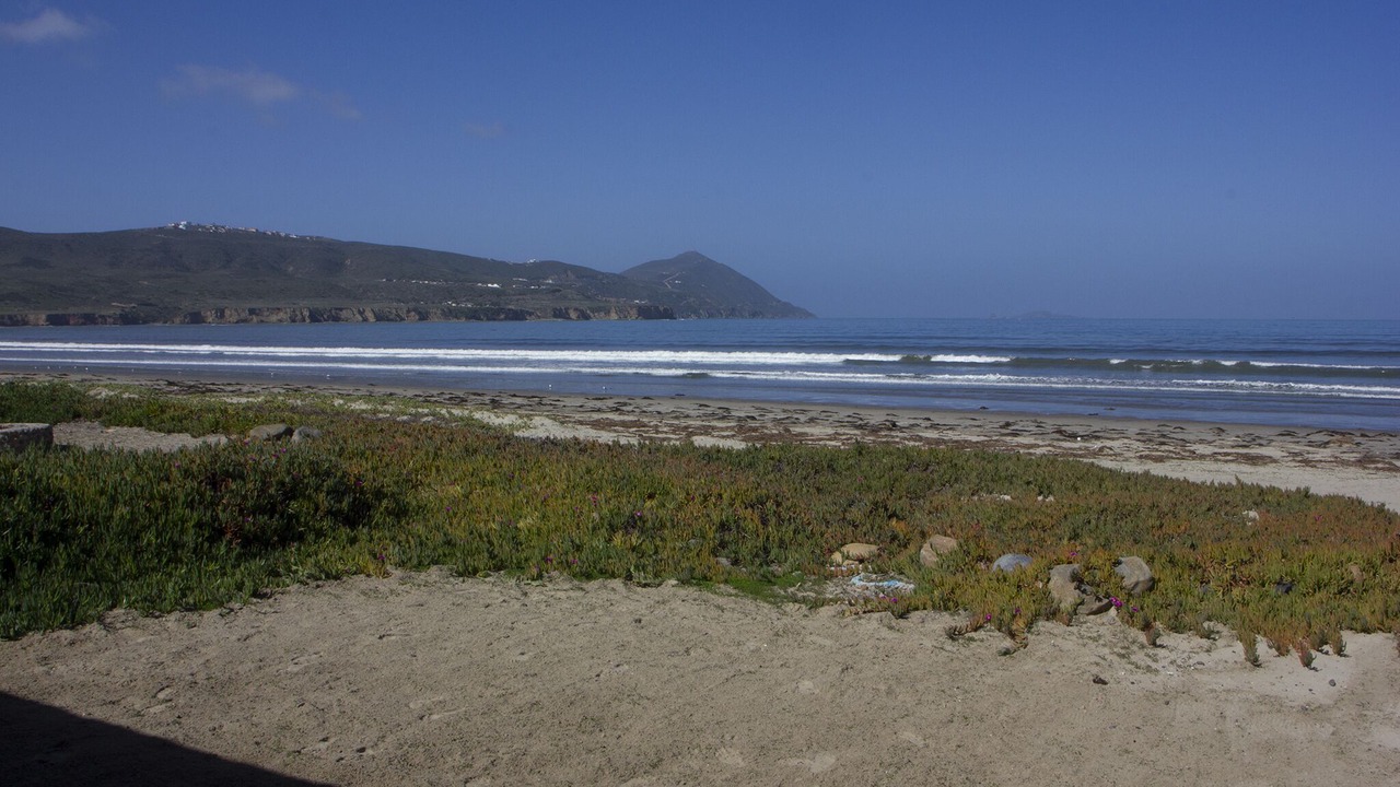 Photo of Others in Lengueta Arenosa