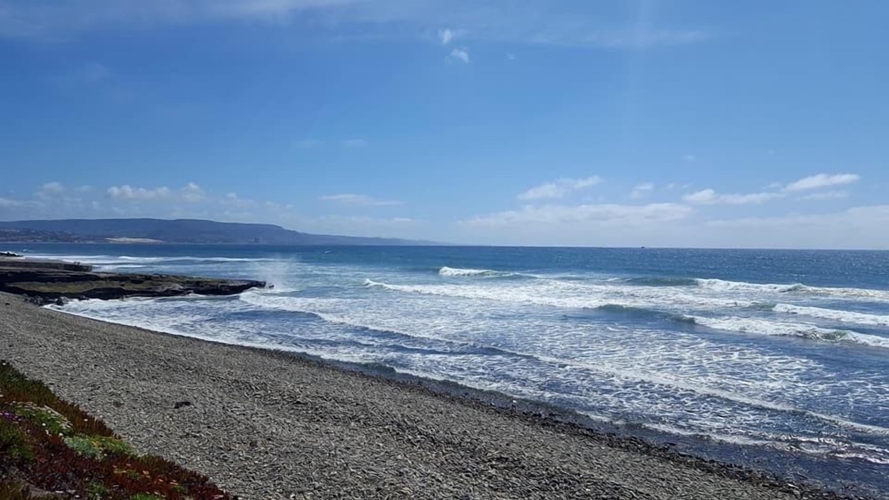 Photo of Others in Las Gaviotas