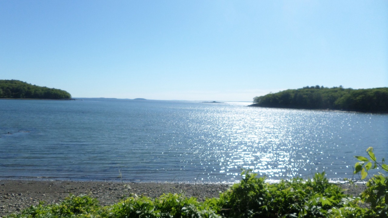 Photo of Others in Glen Cove