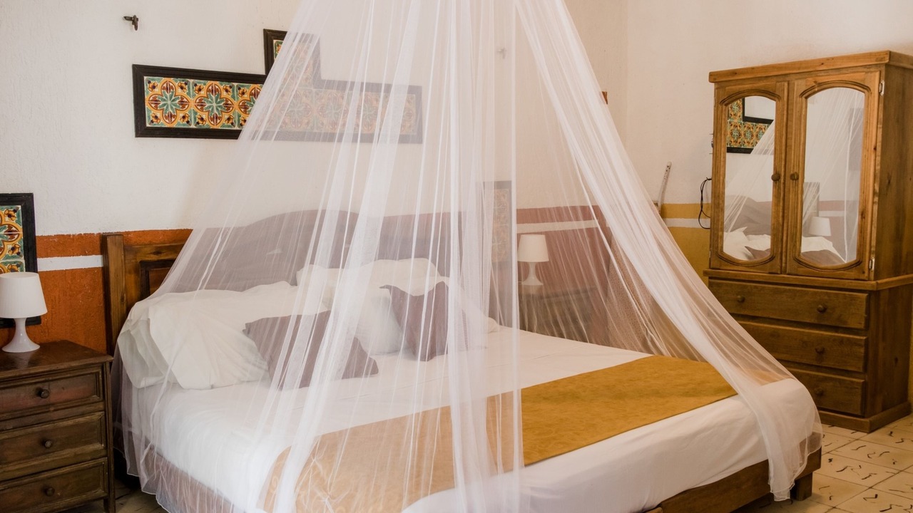 Photo of Bedroom in El Cuyo