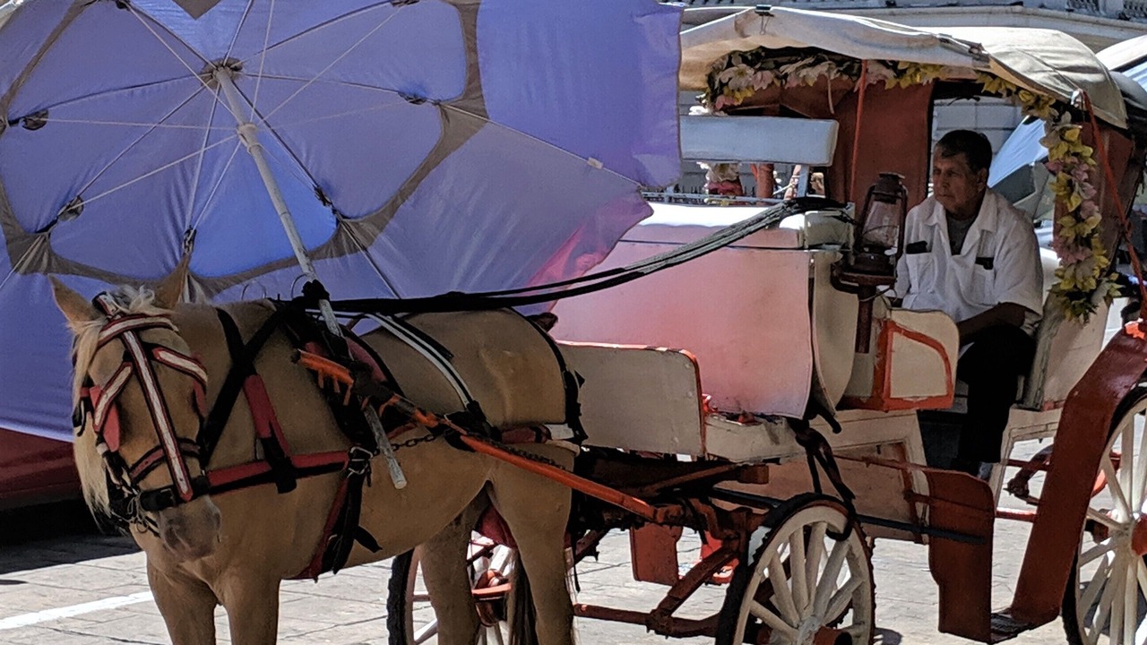 Photo of Others in Barrio de Santiago