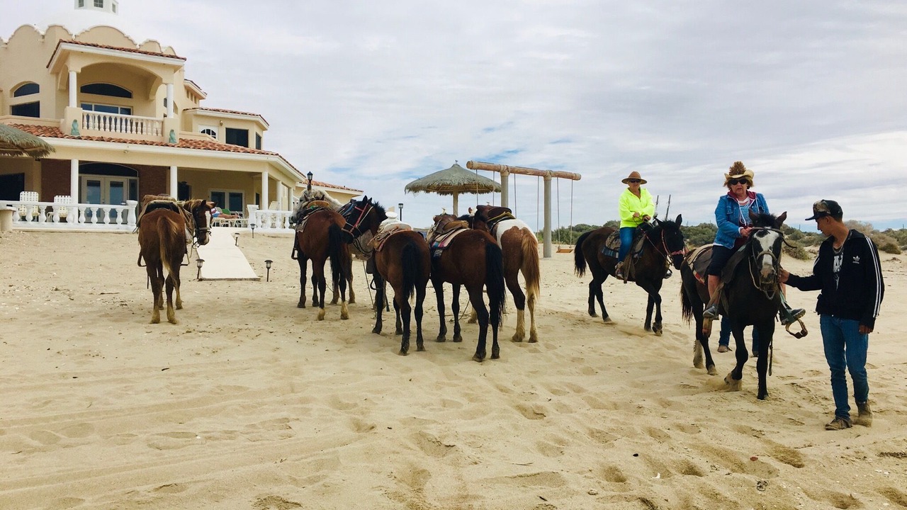 Photo of Others in Puerto Penasco
