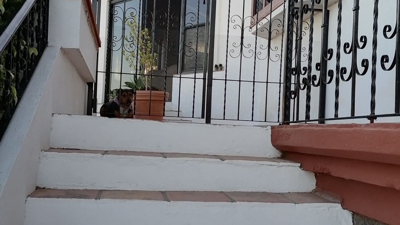 Photo of Outdoor in El Sauzal