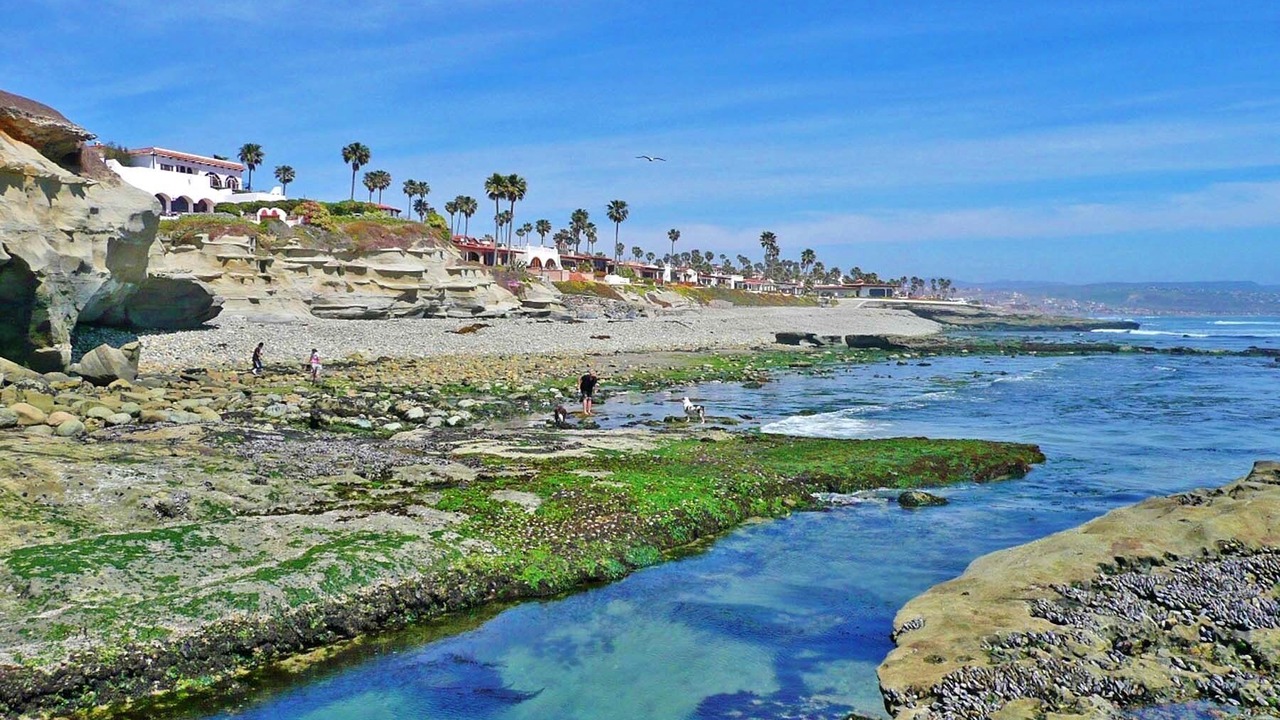 Photo of Others in Las Gaviotas