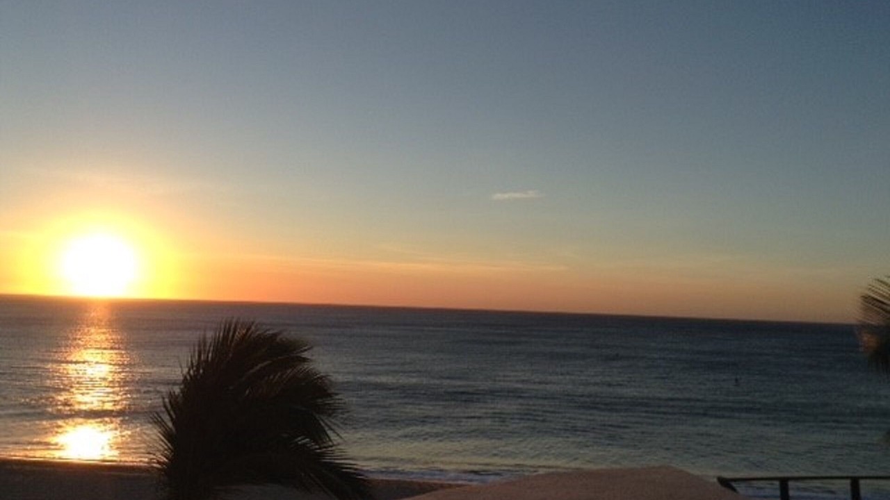 Photo of Others in San Jose del Cabo