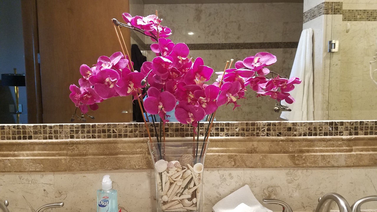 Photo of Bathroom in Puerto Penasco