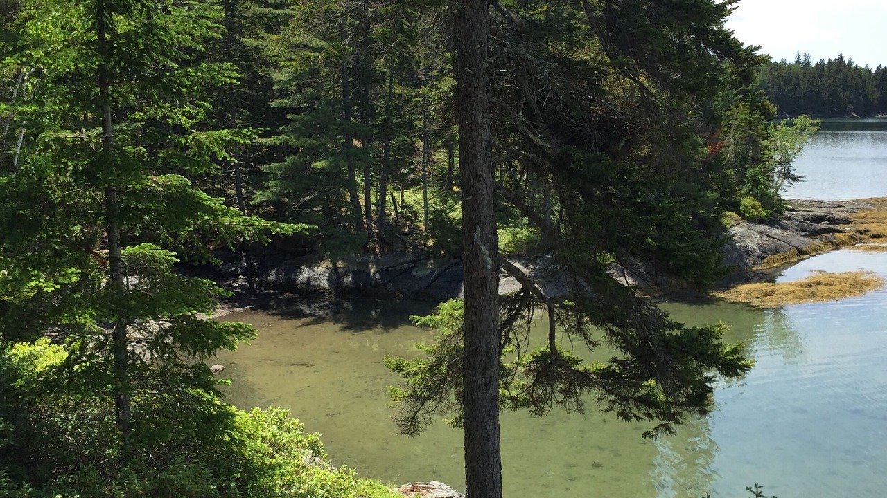 Photo of Outdoor in Blue Hill