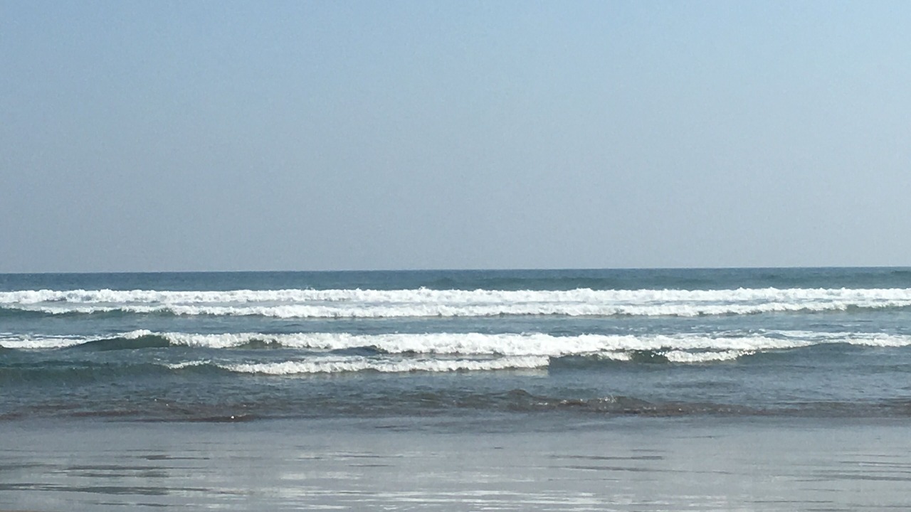 Photo of Others in Playa Diamante