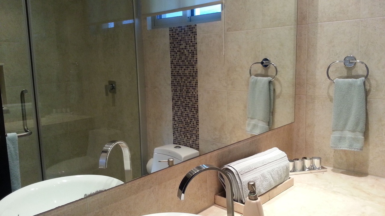 Photo of Bathroom in Zama