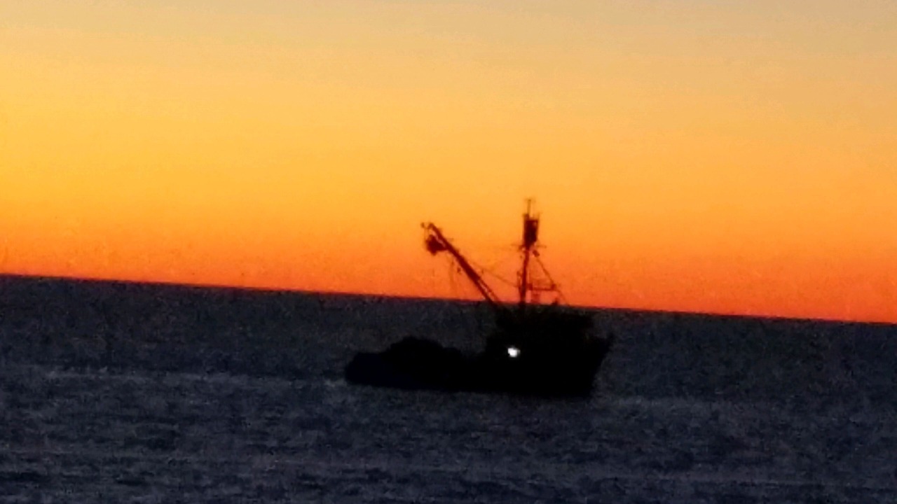 Photo of Others in Puerto Penasco