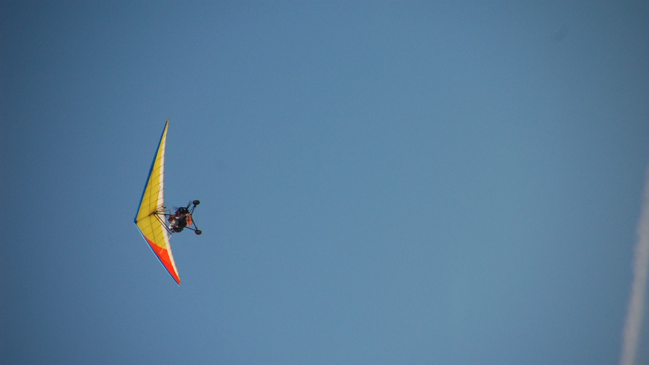 Photo of Others in Puerto Penasco