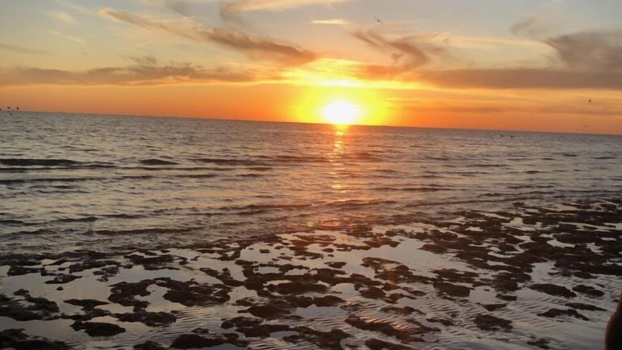 Photo of Others in Puerto Penasco