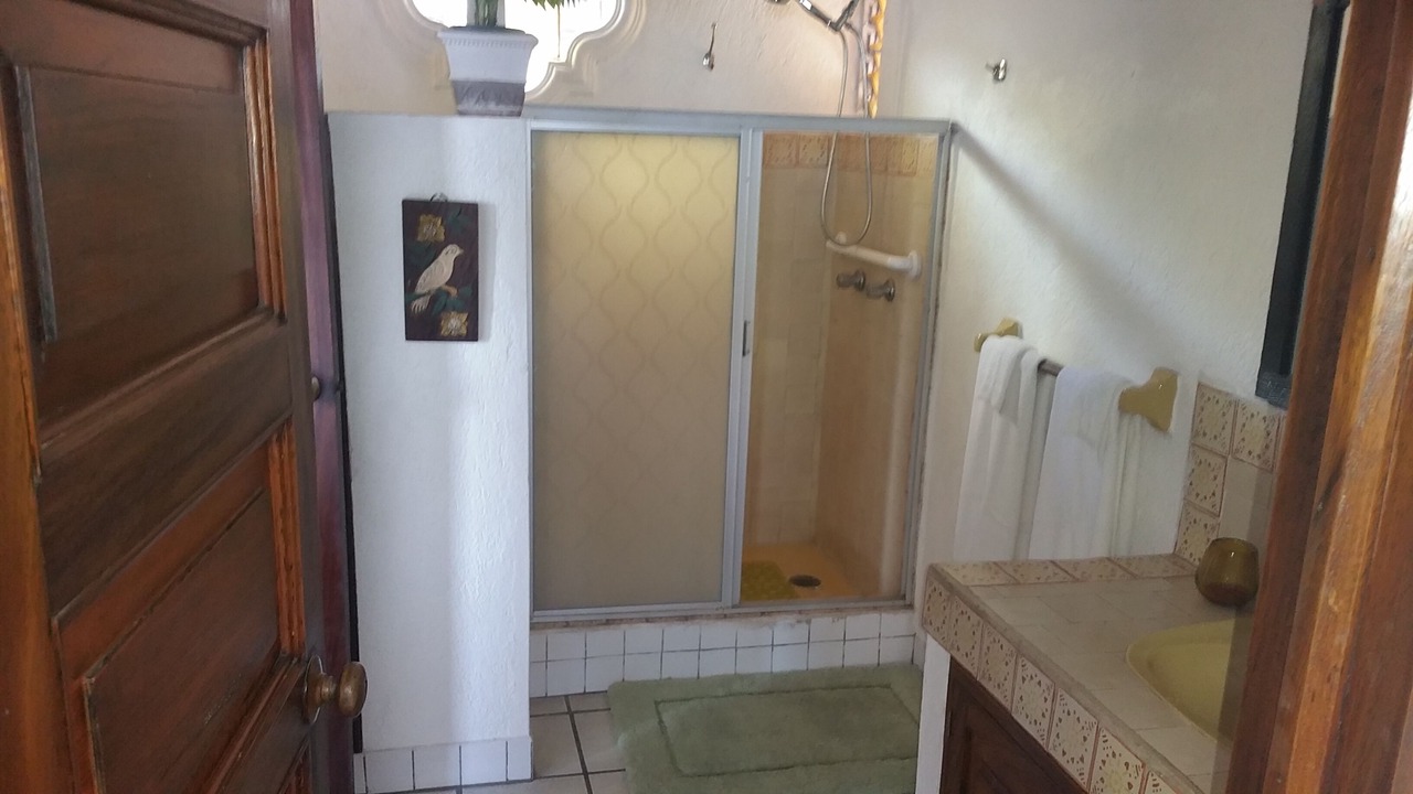 Photo of Bathroom in Downtown Puerto Vallarta
